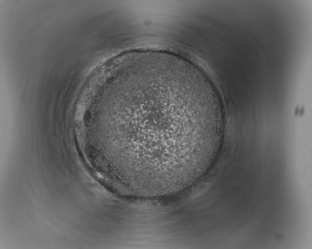 X0000112880673200908211452