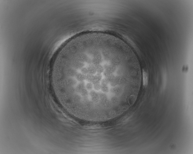 X0000112880675200908211452