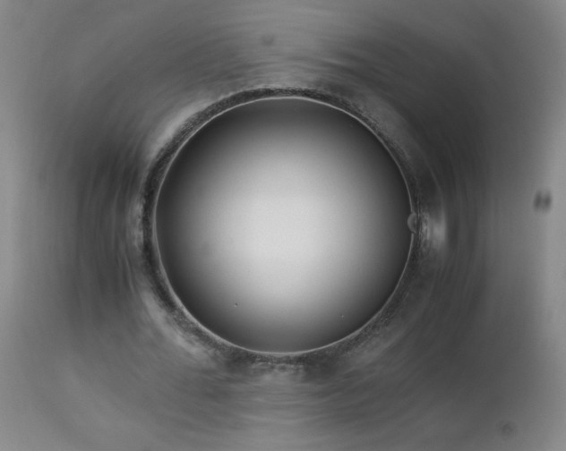 X0000112880676200908211452