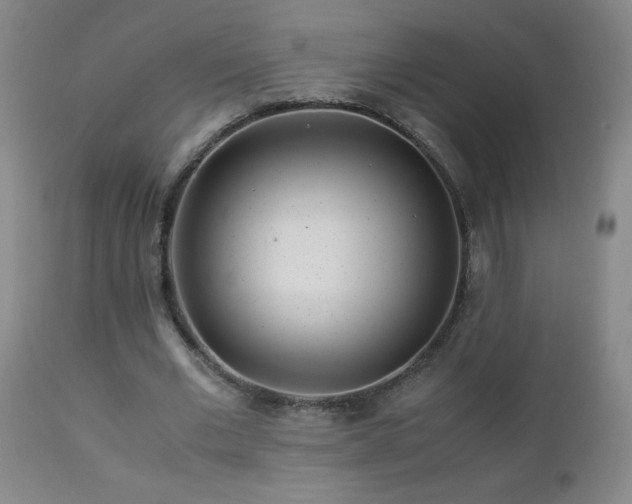 X0000112880677200908211452