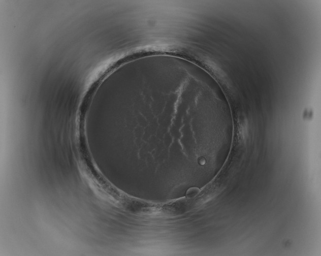 X0000112880678200908211452