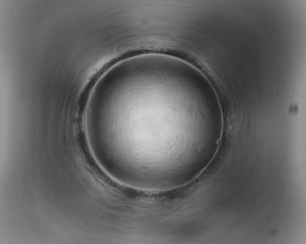 X0000112880679200908211452