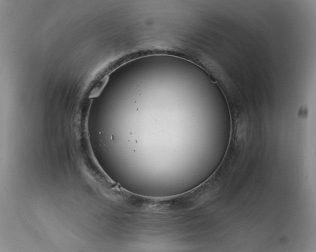 X0000112880680200908211452