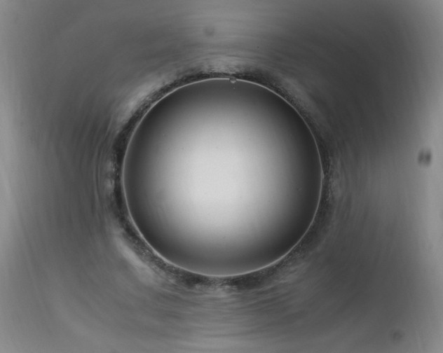 X0000112880683200908211452