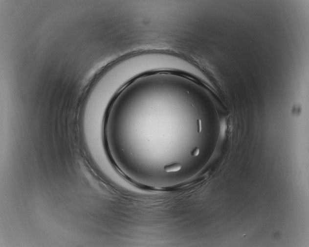 X0000112880684200908211452