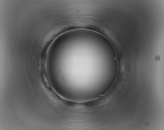 X0000112880685200908211452