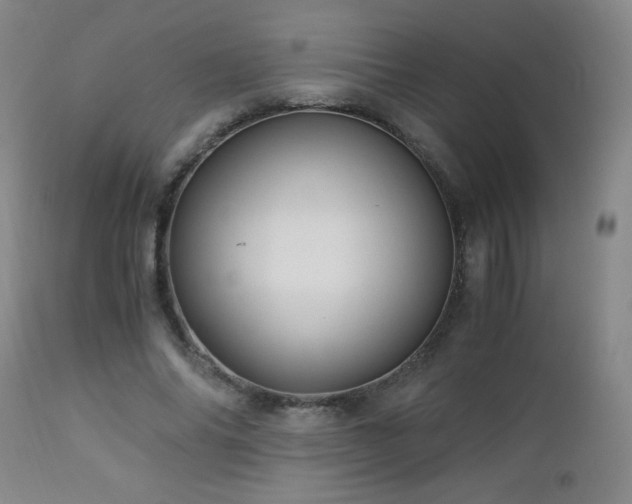 X0000112880686200908211452