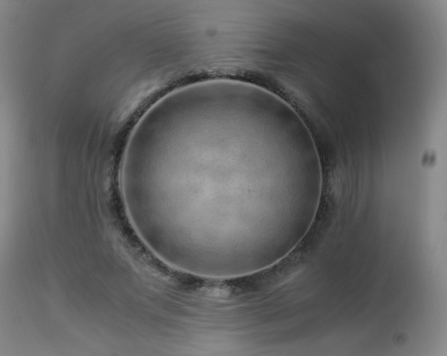 X0000112880687200908211452