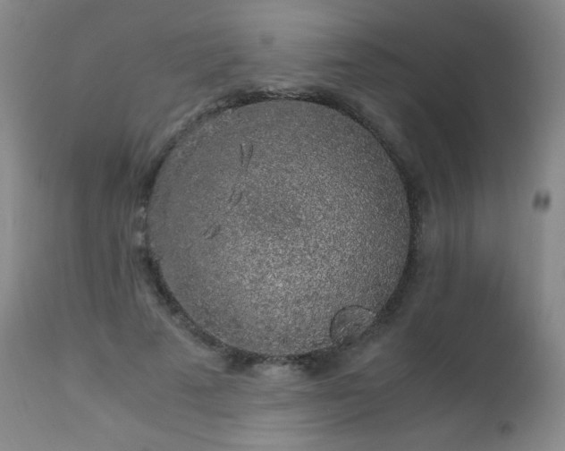 X0000112880689200908211452