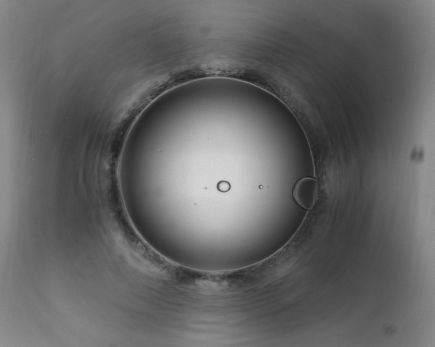 X0000112880690200908211451