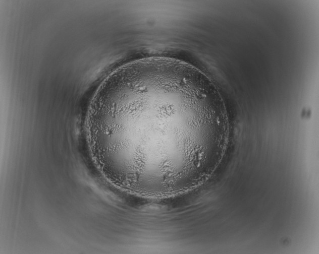 X0000112880691200908211451