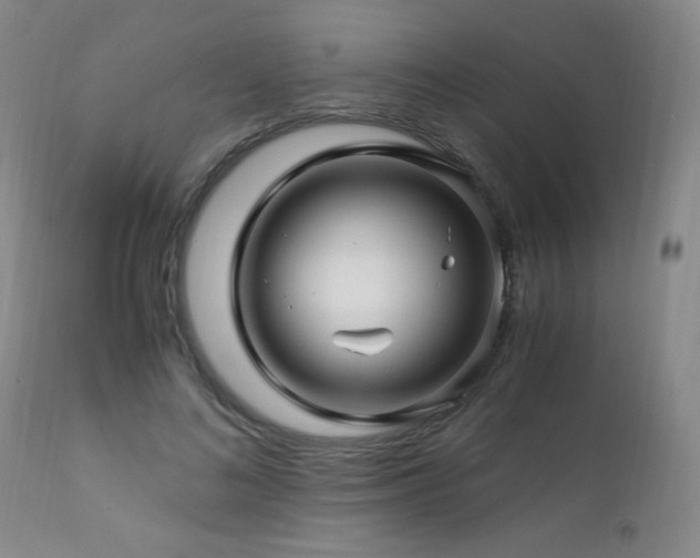 X0000112880692200908211451