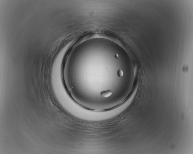 X0000112880693200908211451