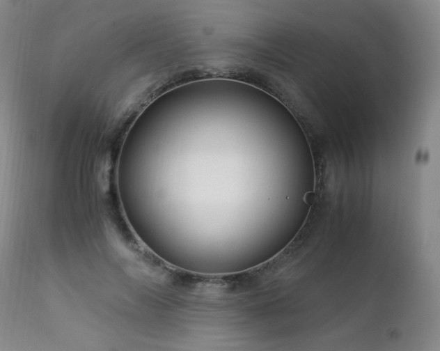 X0000112880694200908211451