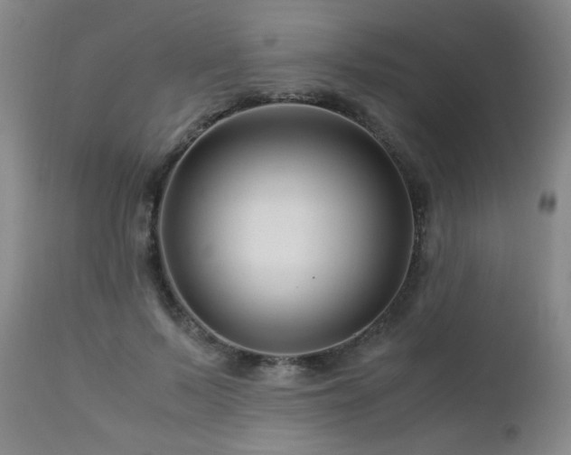 X0000112880695200908211451