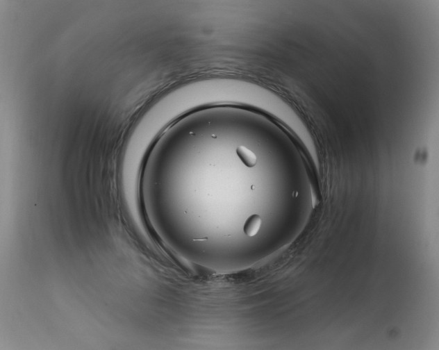 X0000112880696200908211451