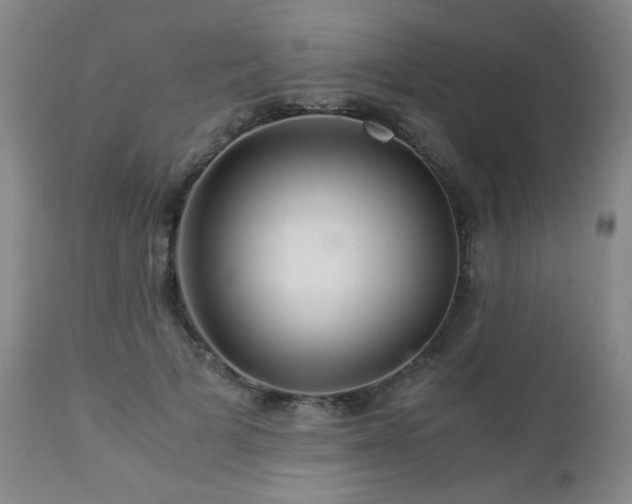 X0000112880697200908211451