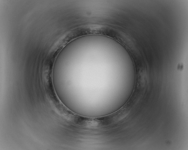 X0000112880698200908211451