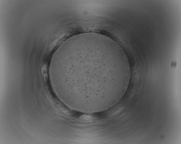 X0000112880699200908211451