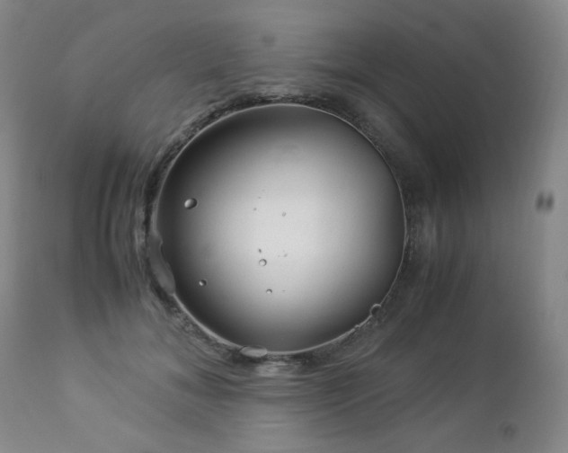 X0000112880700200908211451