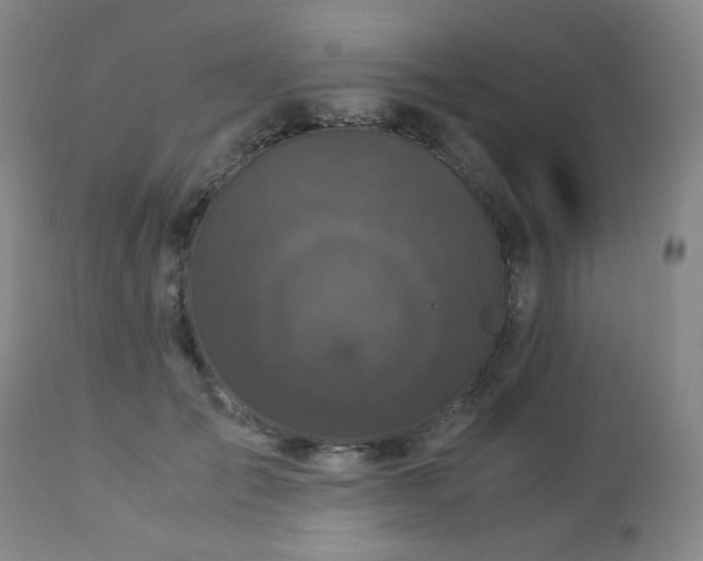 X0000112880701200908211451