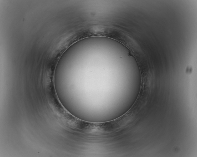 X0000112880702200908211451