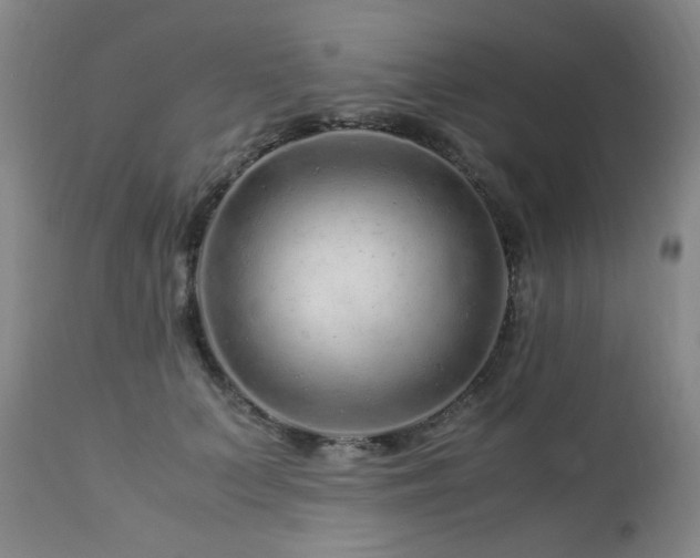 X0000112880703200908211451