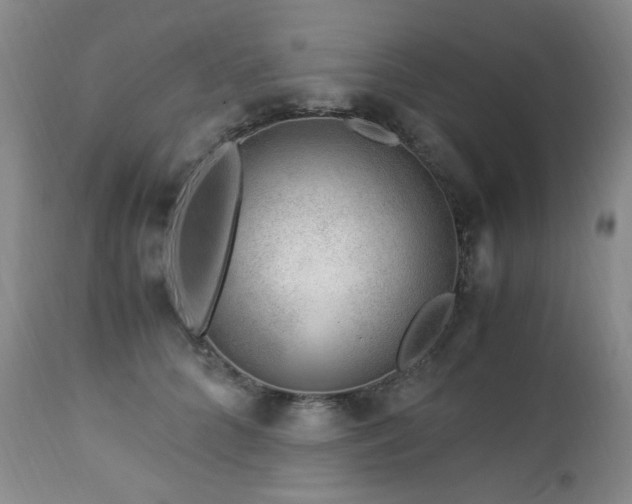 X0000112880704200908211451