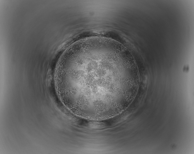 X0000112880707200908211451