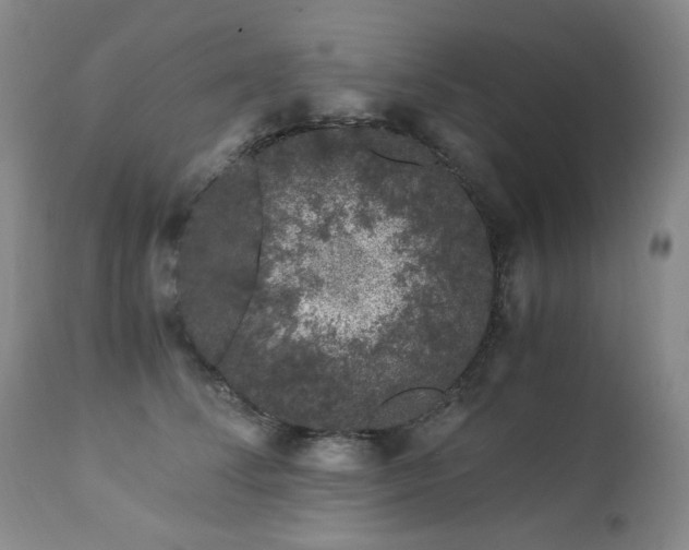 X0000112880708200908211451