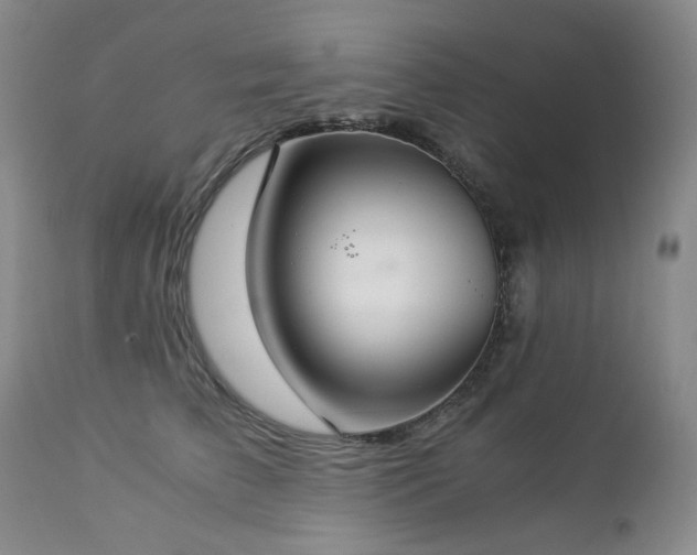 X0000112880709200908211451