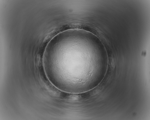 X0000112880711200908211451