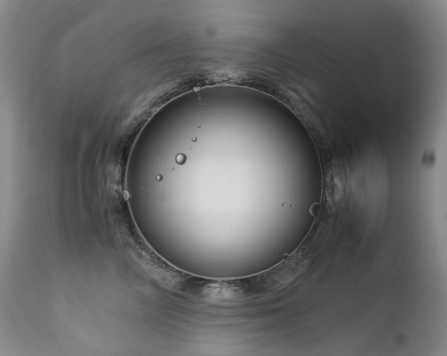 X0000112880714200908211451