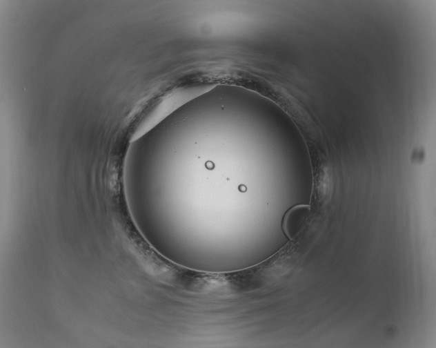 X0000112880715200908211451