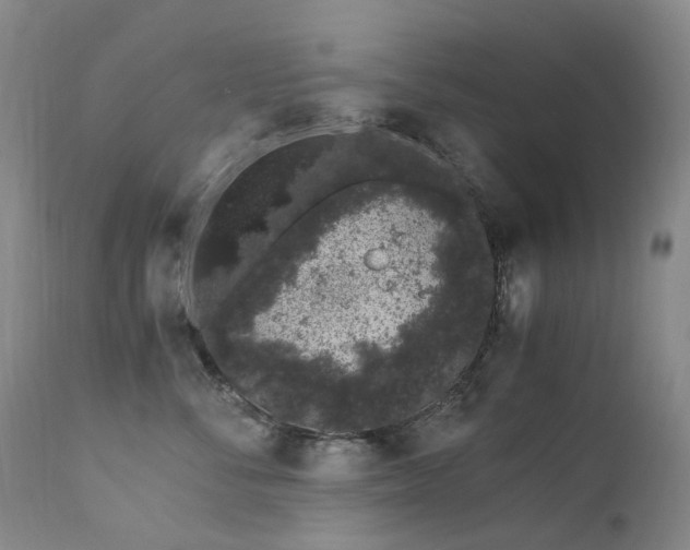 X0000112880716200908211451