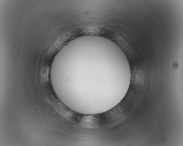 X0000112880717200908211451