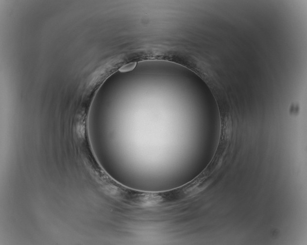 X0000112880719200908211451