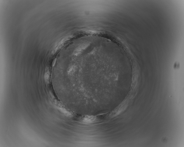 X0000112880720200908211451