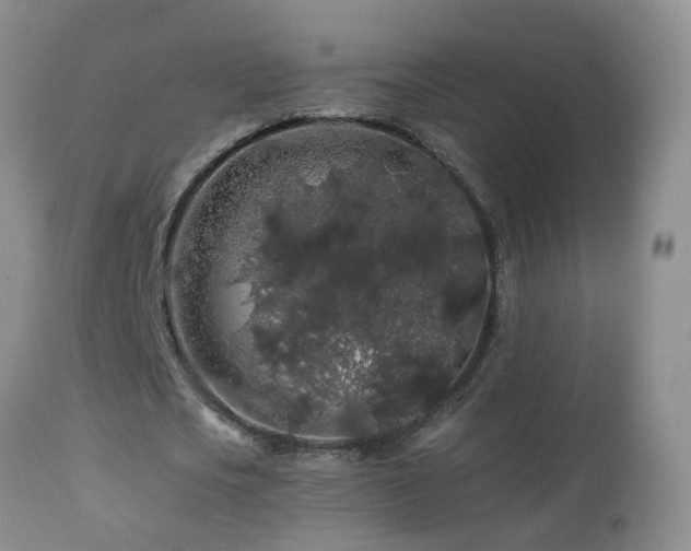 X0000112880721200908211450