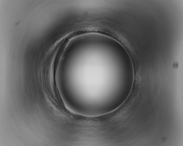 X0000112880722200908211450