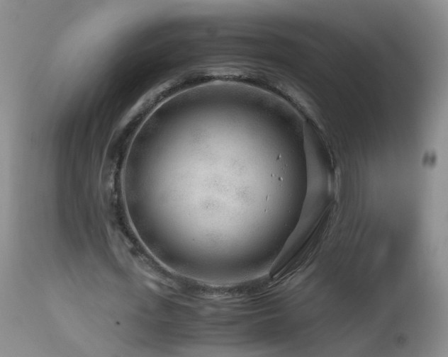 X0000112880723200908211450