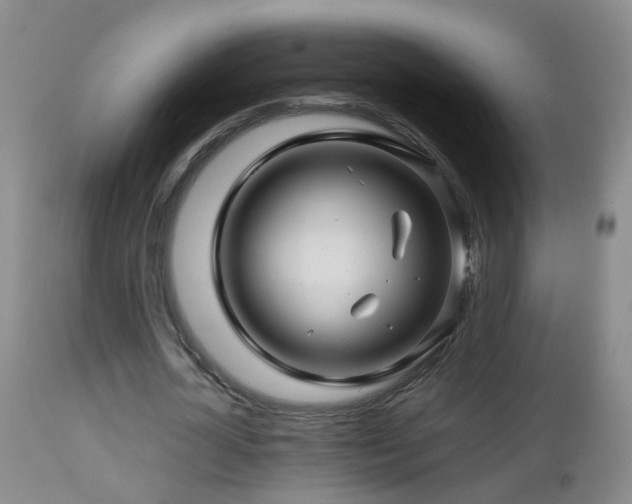 X0000112880724200908211450