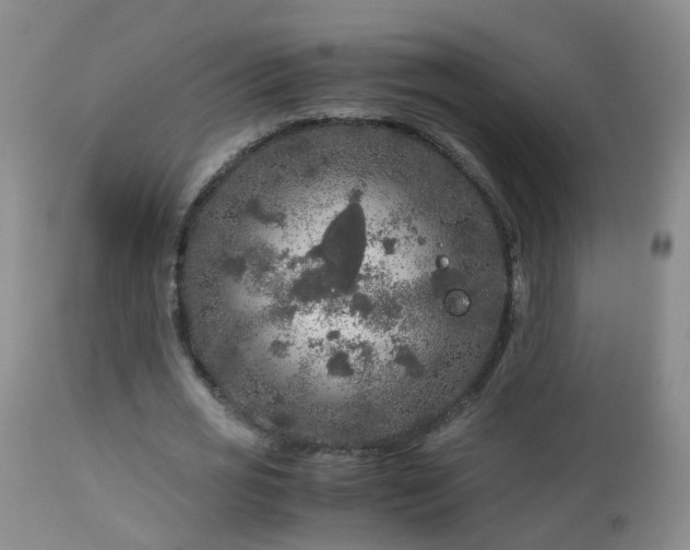 X0000112880725200908211450