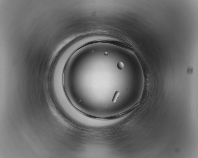 X0000112880726200908211450