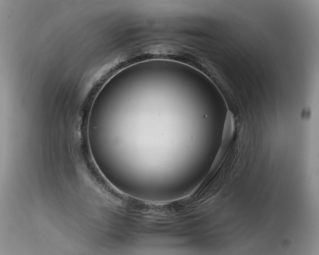 X0000112880727200908211450