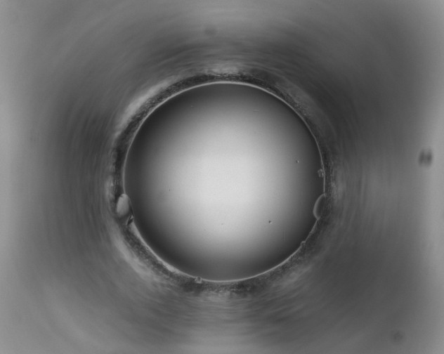 X0000112880728200908211450