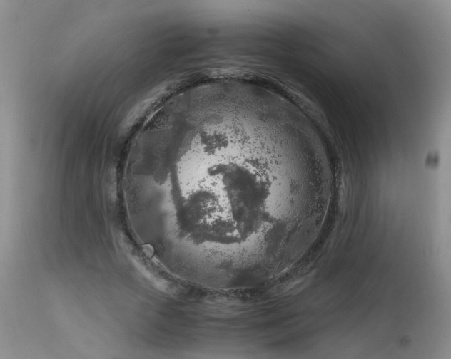 X0000112880729200908211450