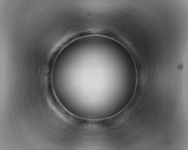 X0000112880730200908211450