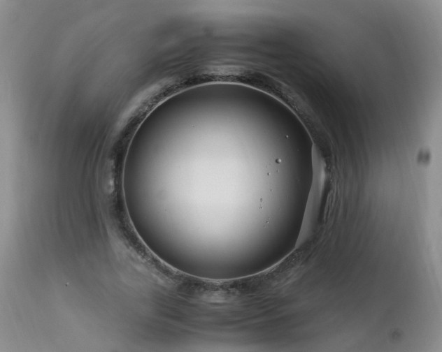 X0000112880731200908211450