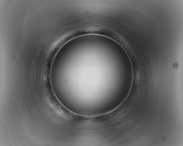 X0000112880732200908211450